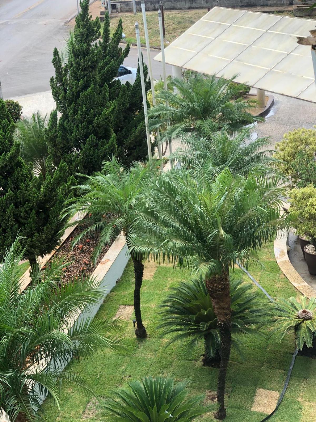Paracatu Plaza Hotel エクステリア 写真